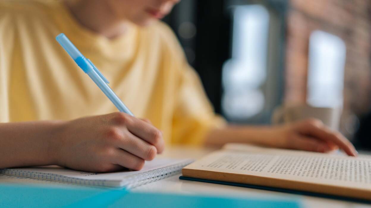 Samsung Galaxy Tab S10 FE