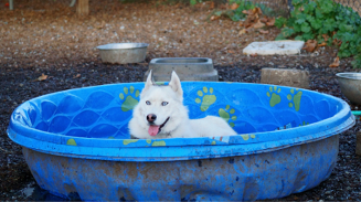 Samsung Galaxy Tab S10 FE