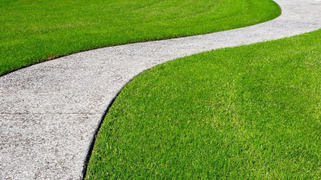 Five of the Least Terrible Types of Grass