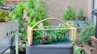 Samsung Galaxy Tab S10 FE