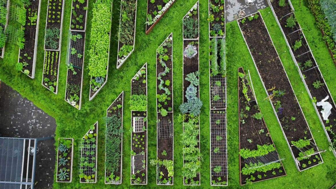 How to Create a Perfectly Laid-Out Garden