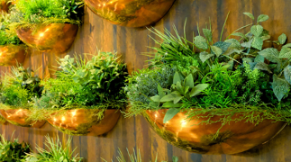 Samsung Galaxy Tab S10 FE