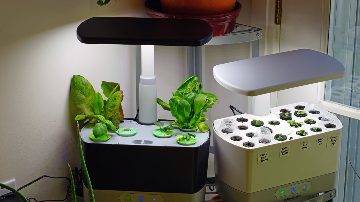 Save Money by Growing Your Own Hydroponic Starts