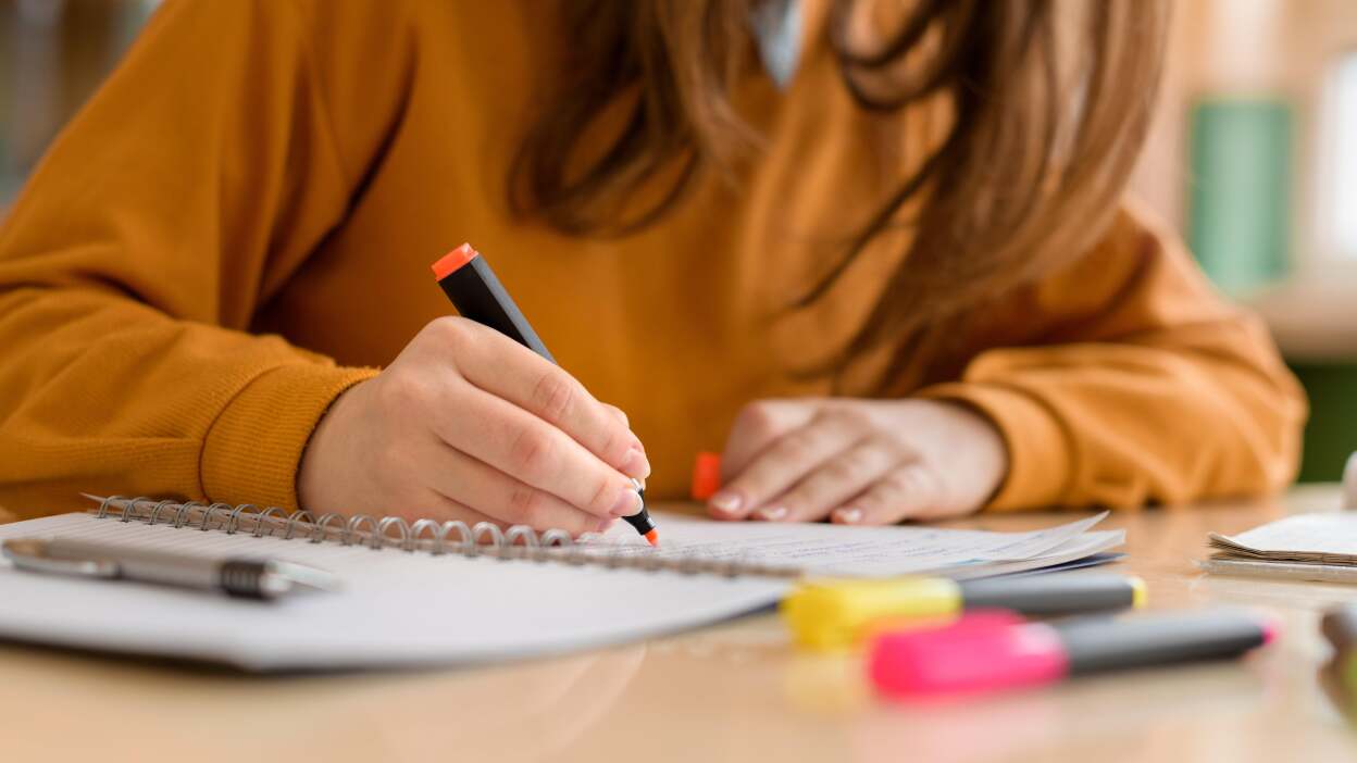 Samsung Galaxy Tab S10 FE