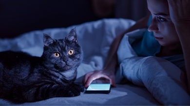 Samsung Galaxy Tab S10 FE