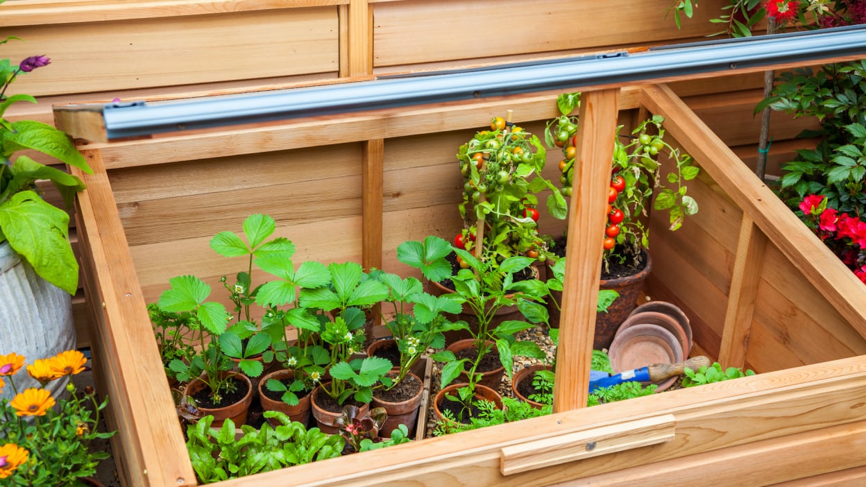 Samsung Galaxy Tab S10 FE