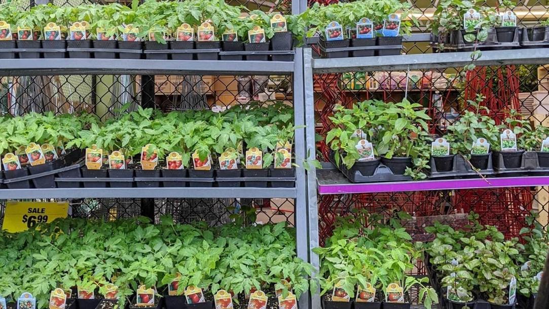 Samsung Galaxy Tab S10 FE