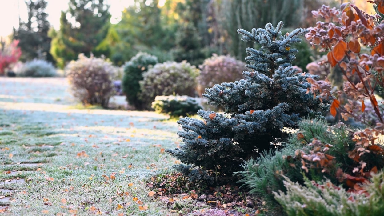 Samsung Galaxy Tab S10 FE