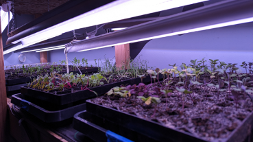 Samsung Galaxy Tab S10 FE