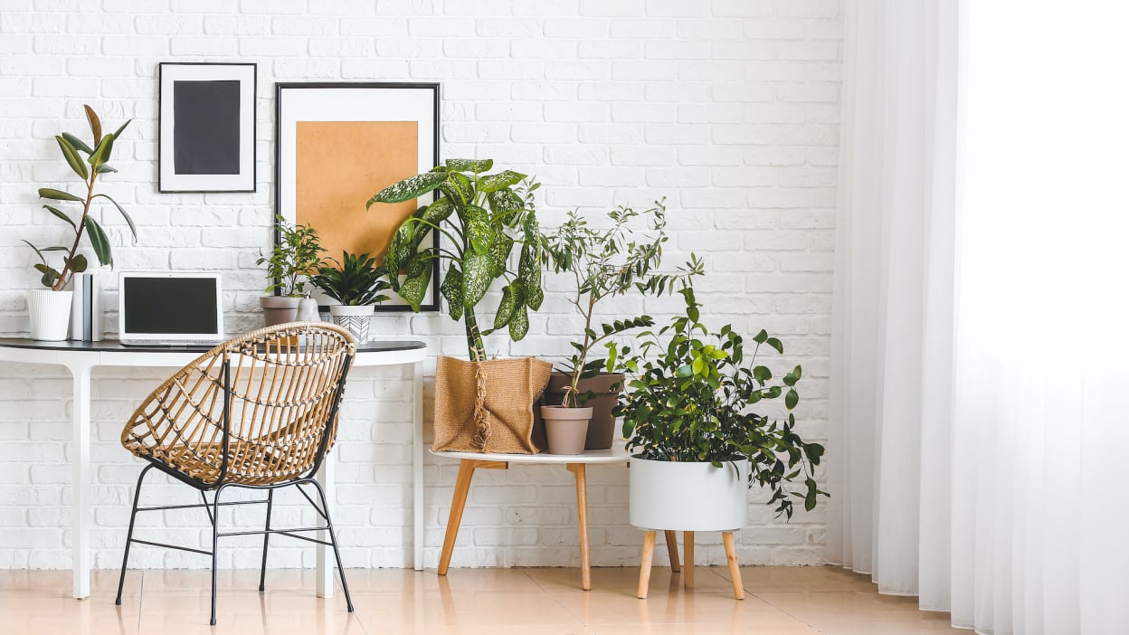 Samsung Galaxy Tab S10 FE