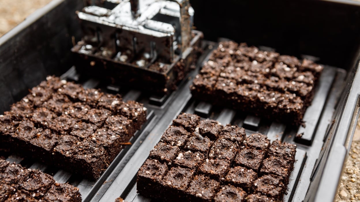 Samsung Galaxy Tab S10 FE