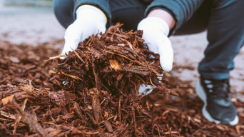 Samsung Galaxy Tab S10 FE